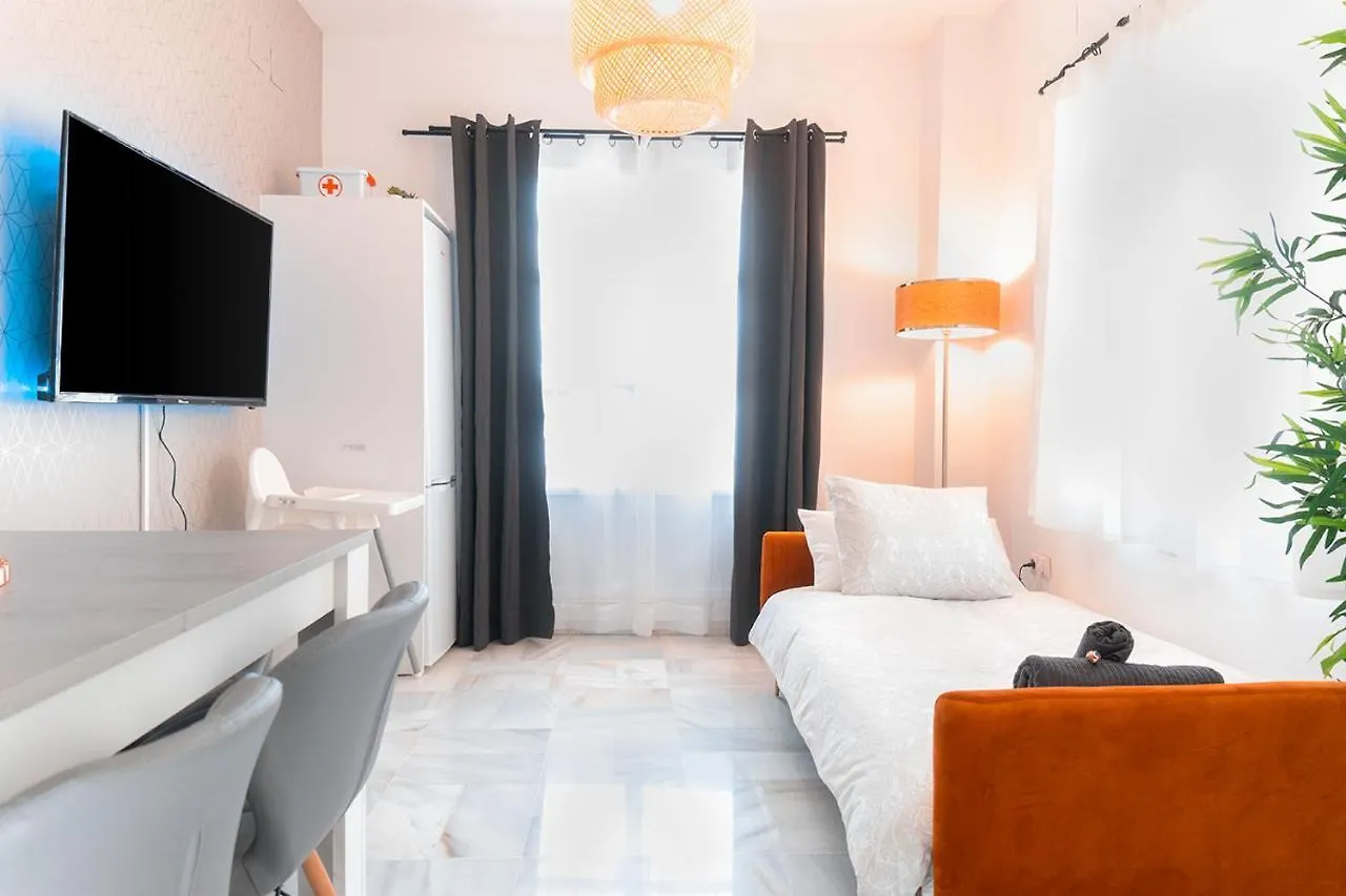 Downtown Duplex With Jacuzzi & Private Terrace Apartment Seville Spain