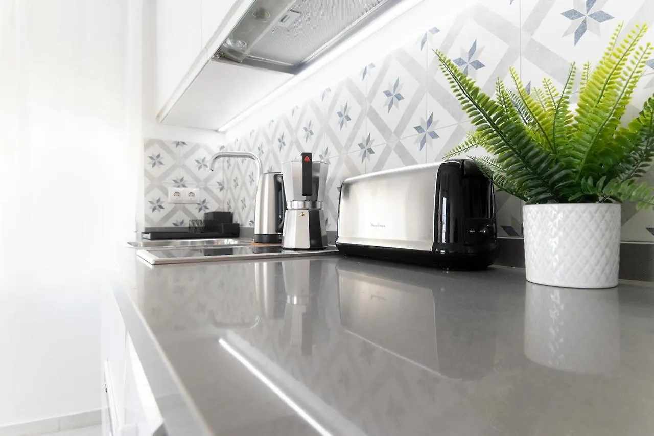 Downtown Duplex With Jacuzzi & Private Terrace Apartment Seville